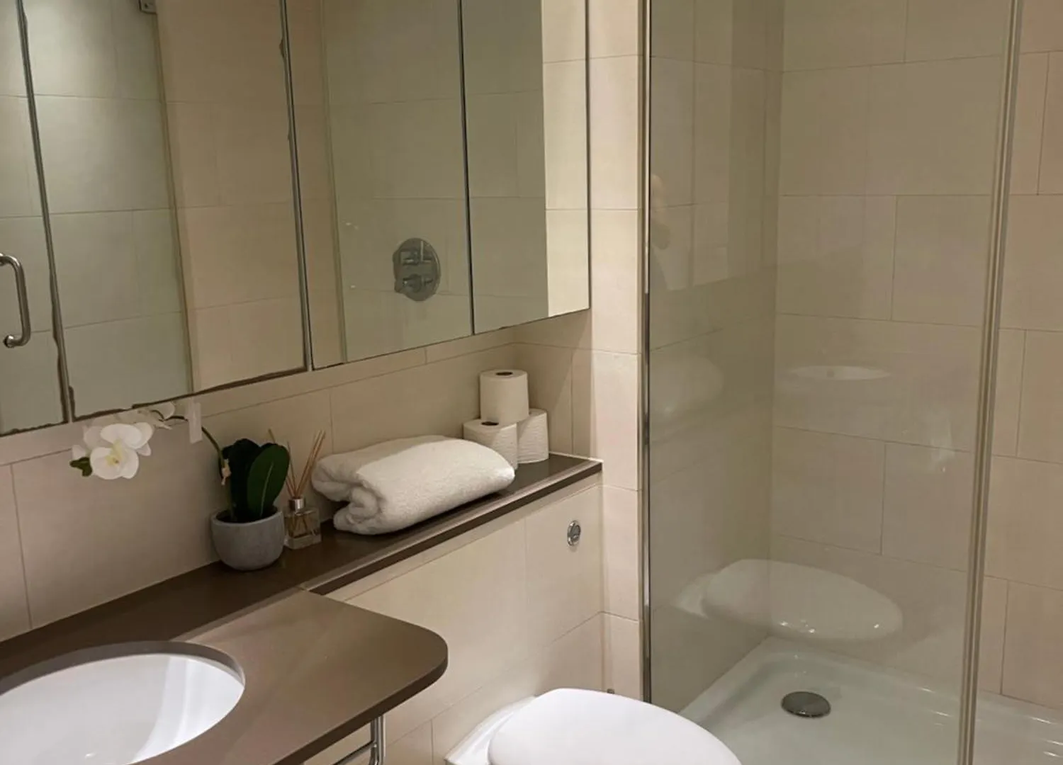 Modern Luxury 2 Bedroom Apartment In London Excel