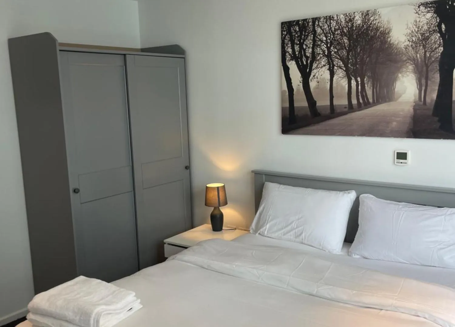 Modern Luxury 2 Bedroom Apartment In London Excel